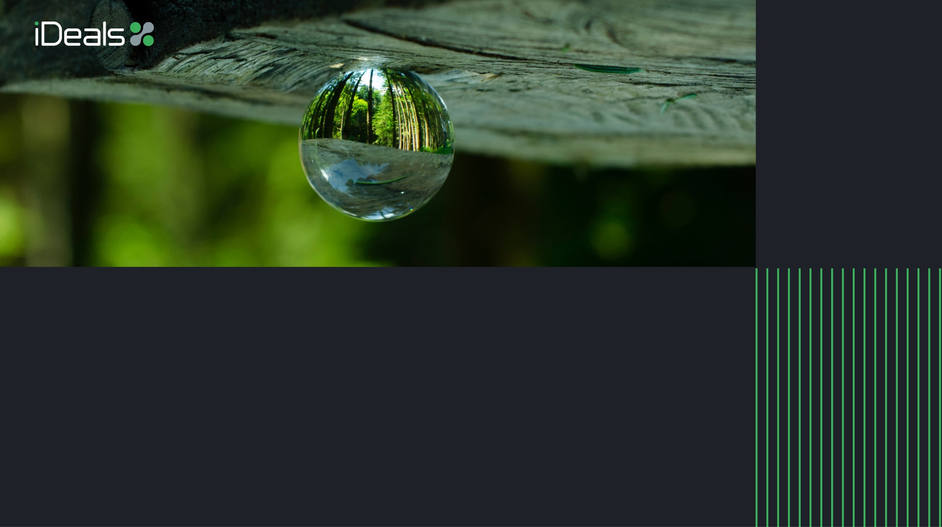 banner image